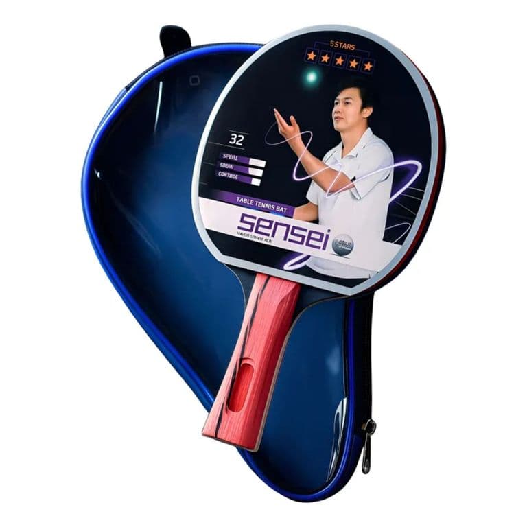 Paleta Tenis de Mesa 5 Estrellas + Estuche