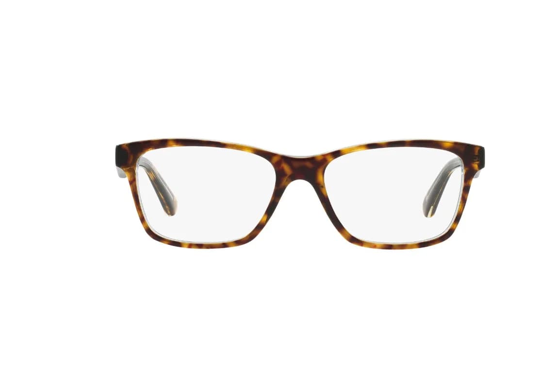 Lentes Opticos Top Havana/Transparent Eyewear Cafe M