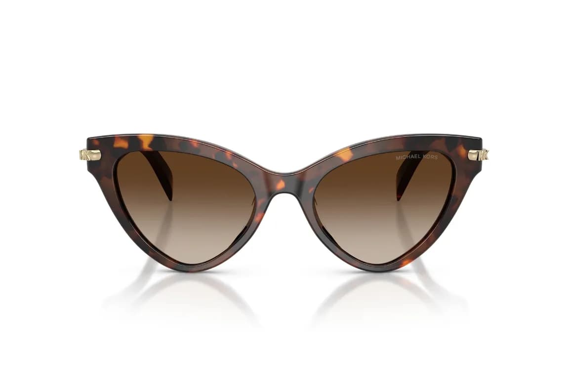 Lentes de Sol Roanoke Havana Degradados Marron M