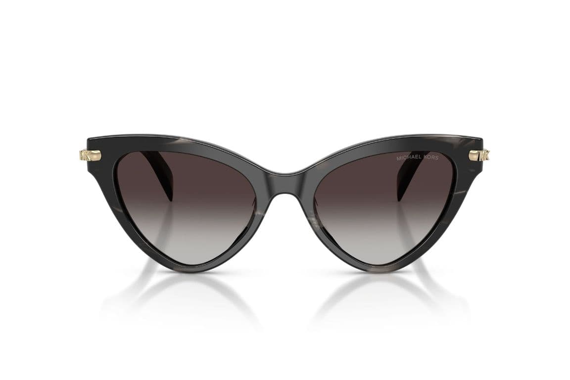 Lentes de Sol Roanoke Negro Degradados Negro M