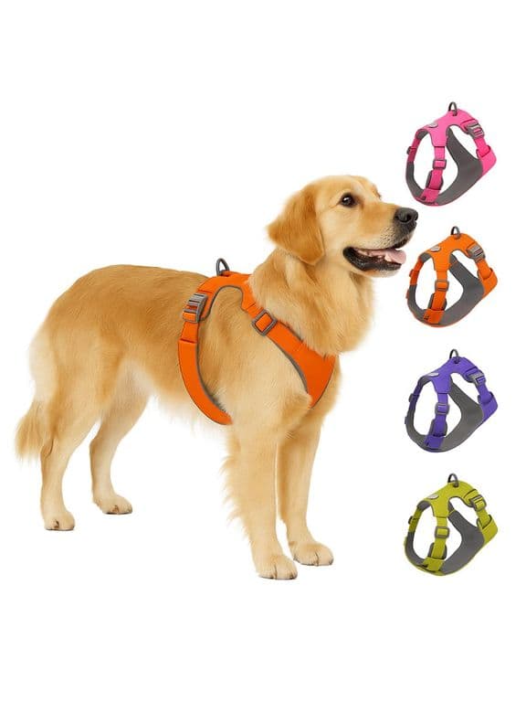 Arnes Antitirones Antiasfixia Para Perros Grandes Talla L - Lila - L