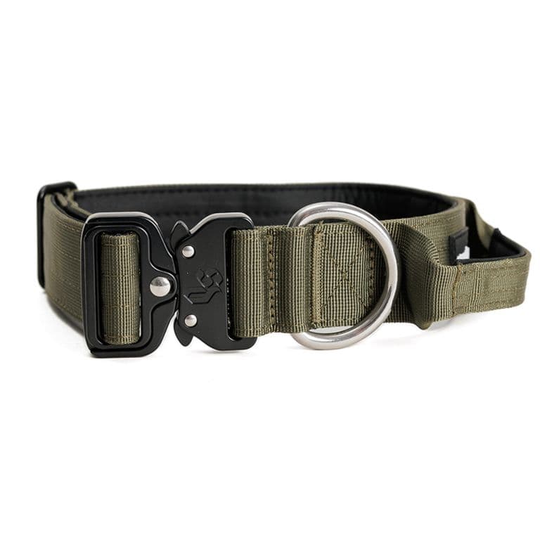 Collar Combat 4 cm para Perros Khaki L