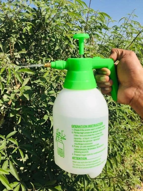 Fumigador Pulverizador Rociador 2 Litros Bomba Manual Blanco