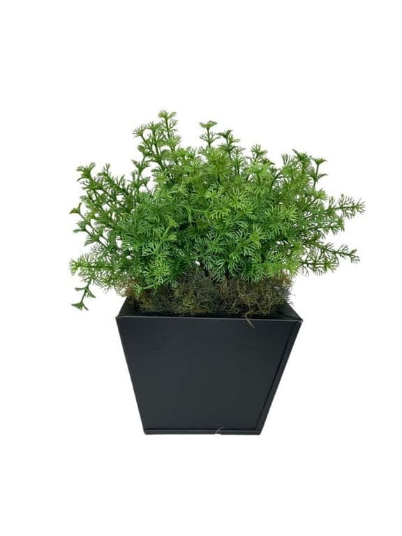 Arreglo De Arbusto Perejil 35cm Artificial - Estilo Natural para Interiores y Vitrinas
