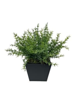 Arreglo De Arbusto Romero 35cm Artificial - Estilo Natural para Interiores y Vitrinas