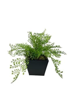 Arreglo De Helecho Adiantum 35cm Artificial - Estilo Natural para Interiores y Vitrinas
