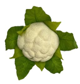 Coliflor Artificial 18cm Artificial - Estilo Natural para Interiores y Vitrinas
