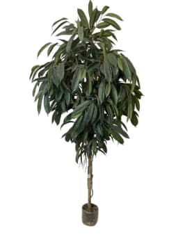 Ficus Alli 2.1mt Artificial - Estilo Natural para Interiores y Vitrinas