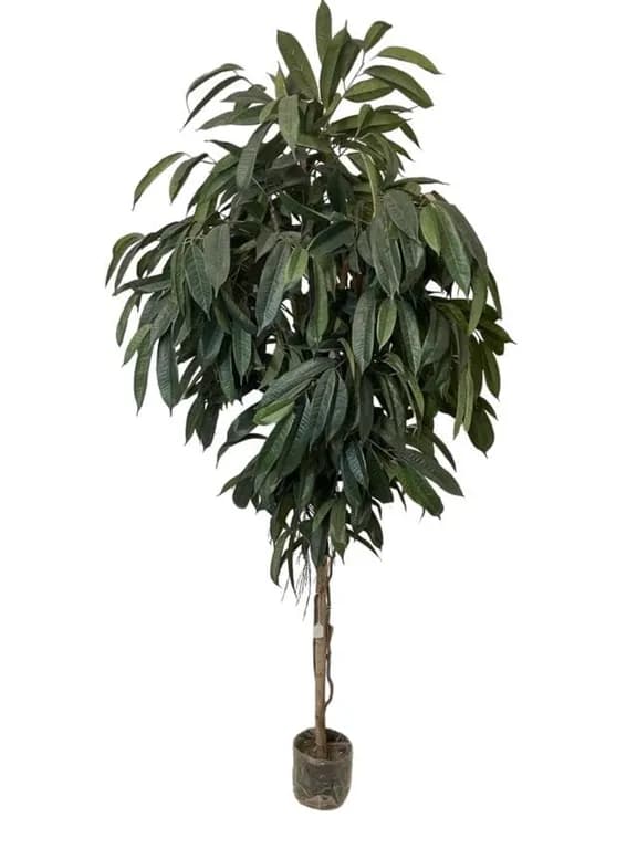 Ficus Alli 2.1mt Artificial - Estilo Natural para Interiores y Vitrinas
