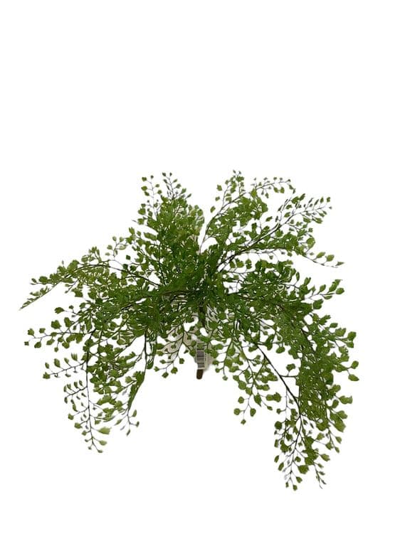 Helecho Adiantum 36cm Artificial - Estilo Natural para Interiores y Vitrinas