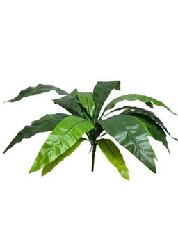 Helecho Nido De Pajaro 53cm Artificial - Estilo Natural para Interiores y Vitrinas