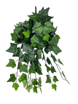 Hiedra Inglesa Deluxe 58cm UV Artificial - Estilo Natural para Interiores y Vitrinas