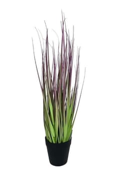 Pasto Cebolla Morado 53cm Artificial - Estilo Natural para Interiores y Vitrinas
