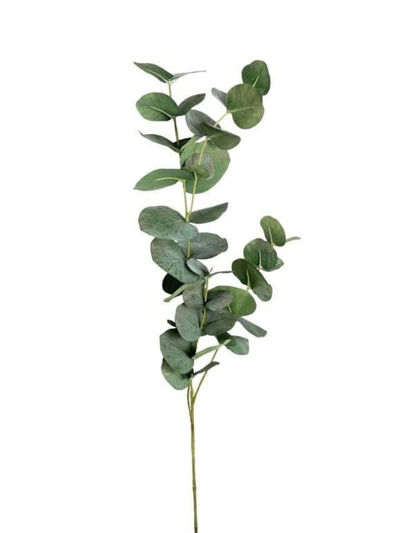 Rama Artificial de Eucalipto 79cm Artificial - Estilo Natural para Interiores y Vitrinas