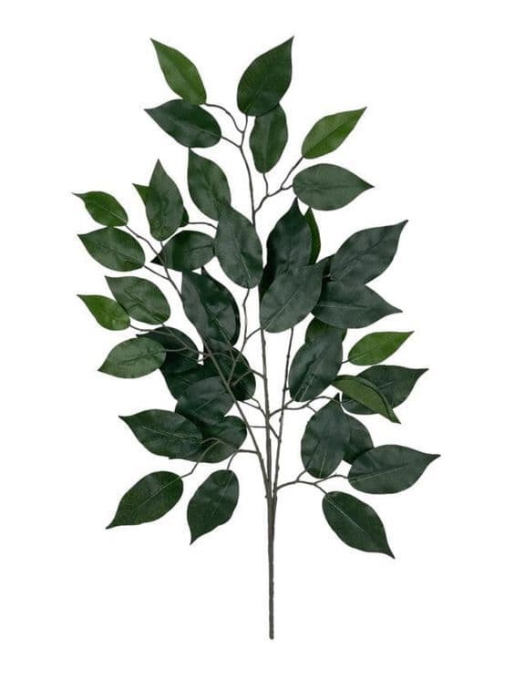 Rama Artificial De Ficus 50cm Artificial - Estilo Natural para Interiores y Vitrinas