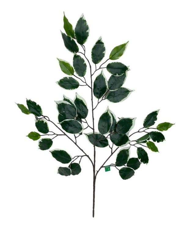 Rama Artificial De Ficus Variegada 50cm Artificial - Estilo Natural para Interiores y Vitrinas