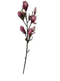 Rama Artificial Magnolia Fucsia 84cm Artificial - Estilo Natural para Interiores y Vitrinas