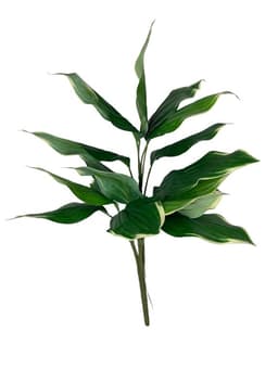 Ramo Hosta UV 56cm Artificial - Estilo Natural para Interiores y Vitrinas