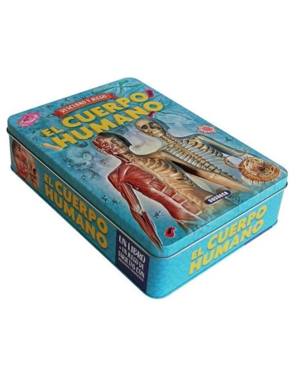 Descubro y juego - El cuerpo humano