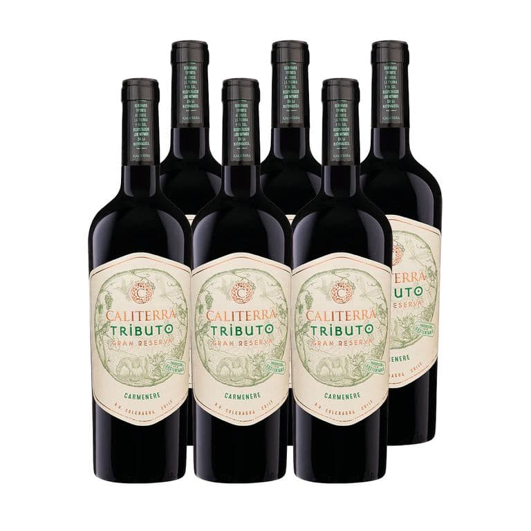 6x Vino Tributo Gran Reserva Carmenere 750cc
