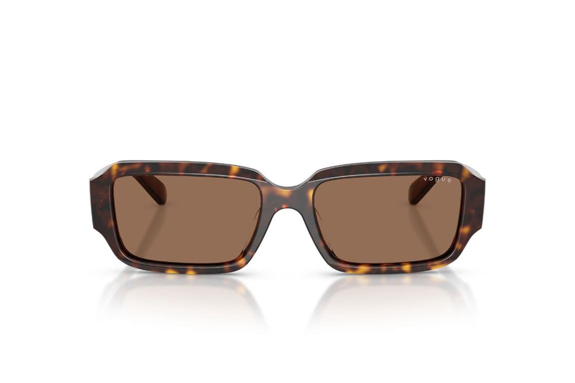 Lentes de Sol Havana Marron M