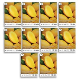 Pack x10 Papel Mate 130g A4 - 1000 Hojas Fotos Sin Reflejo