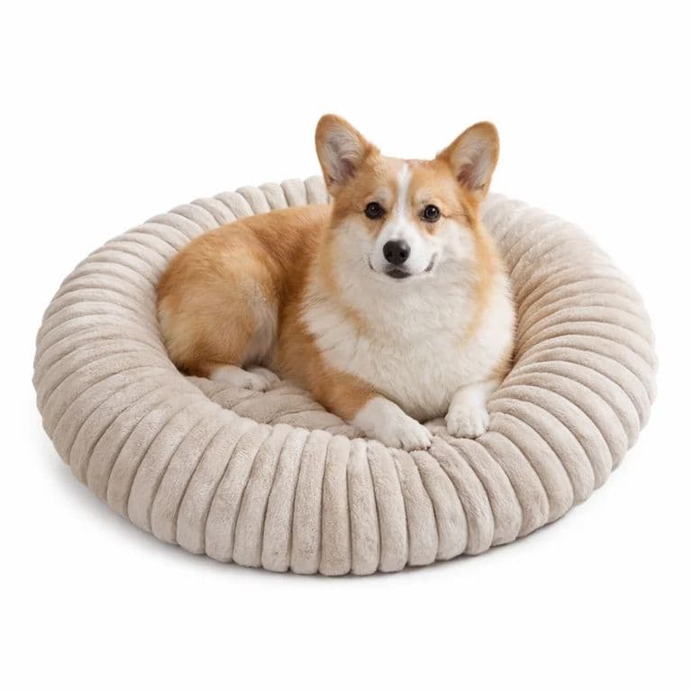 Cama Para Mascotas Cojin Acolchado Y Antideslizante 20cmx80cm