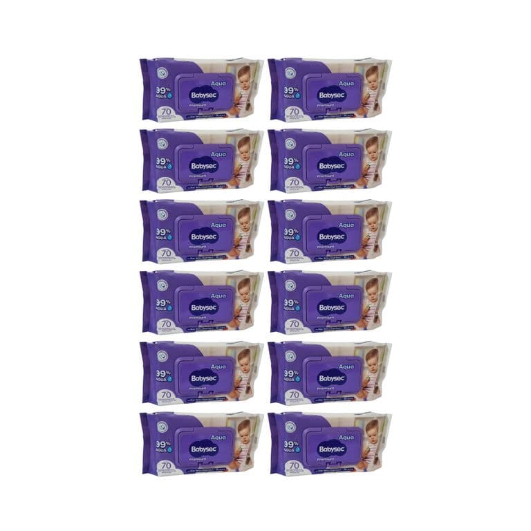 Pack 12 Toallitas Humedas Hipoalergenicas Aloe Vera 70 Unidades c/u , 840 Toallitas,