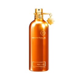 Montale Honey Aoud 100ml Unisex 100 ML
