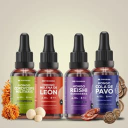 Pack Hongos Adaptogenos Melena de Leon + Cordyceps + Reishi + Cola de Pavo Extracto Gotas 30ml X4