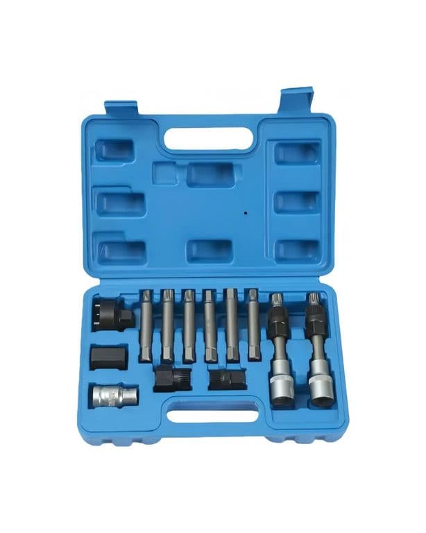 13 Pcs Puntas Dados Extractor Poleas Alternador Alternadores Labg