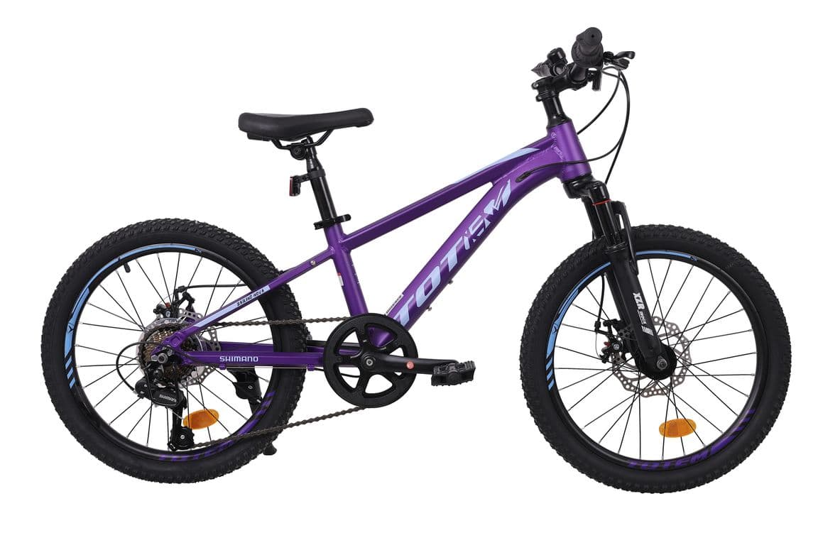 BICICLETA MTB ARO 20 MODELO SAILING MORADO Morado XS