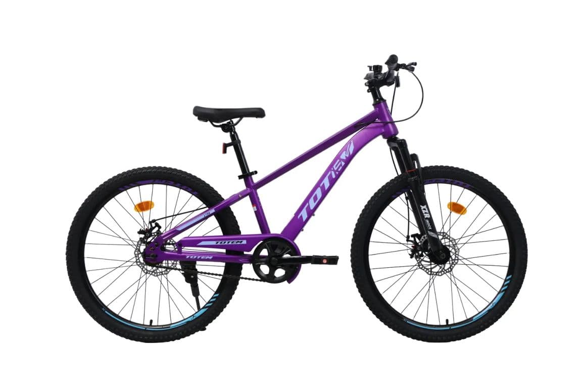 BICICLETA MTB ARO 24 LYRA COLOR MORADO Morado XS