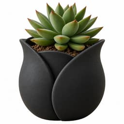Macetero - Diseno Tulipan Negro