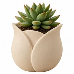 Maceta - Diseno Tulipan Beige