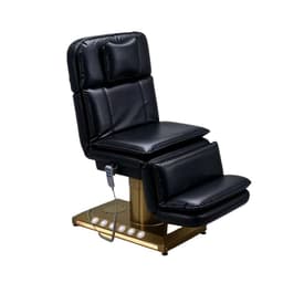 Sillon Camilla Electrico Premium