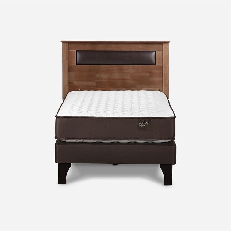 Cama Europea New Ergo T 1.5 Plazas x 2.00 mt + Respaldo Ferrara Taffy
