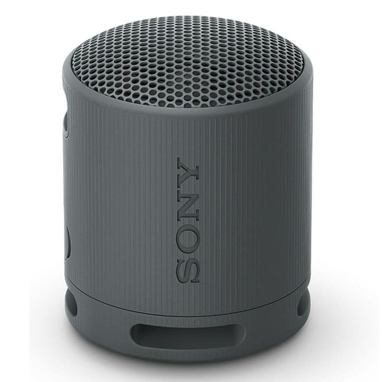 Parlante Bluetooth Srs-Xb100/Bc La Negro