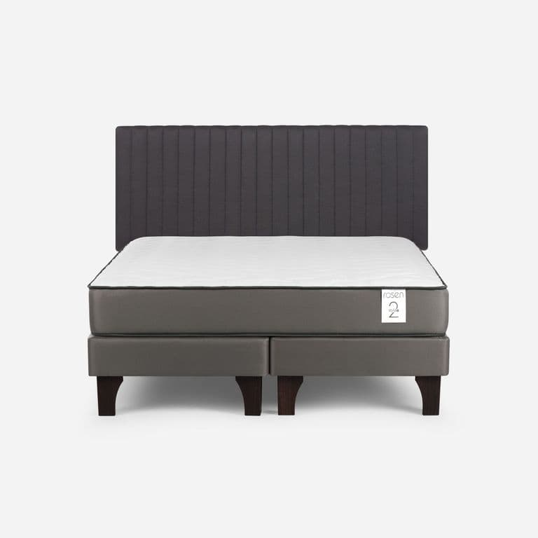 Cama Europea New Style 2 Plus Plus 2 Plazas x 2.00 mt Base Dividida + Respaldo Lucio Grafito