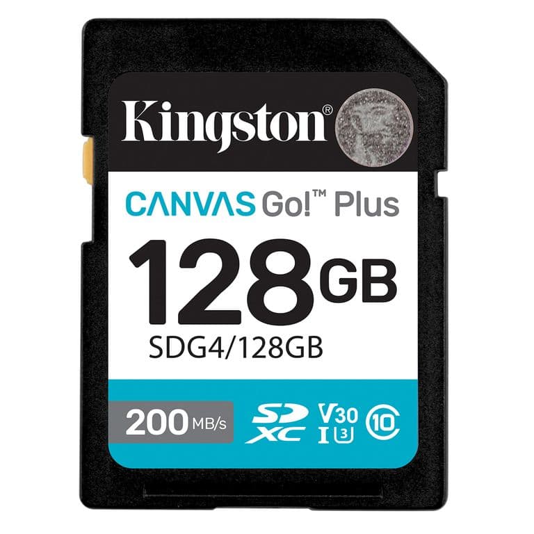 Memoria Kings Sd Canv Go Plus 128Gb