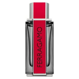 Perfume Hombre Red Men EDP 100Ml