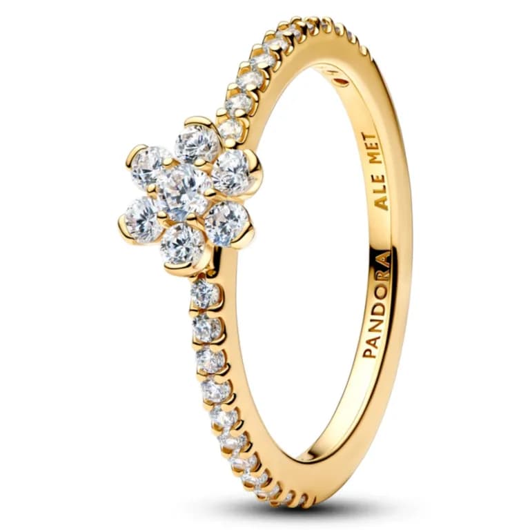 Anillo Flor Deslumbrante Mujer 50