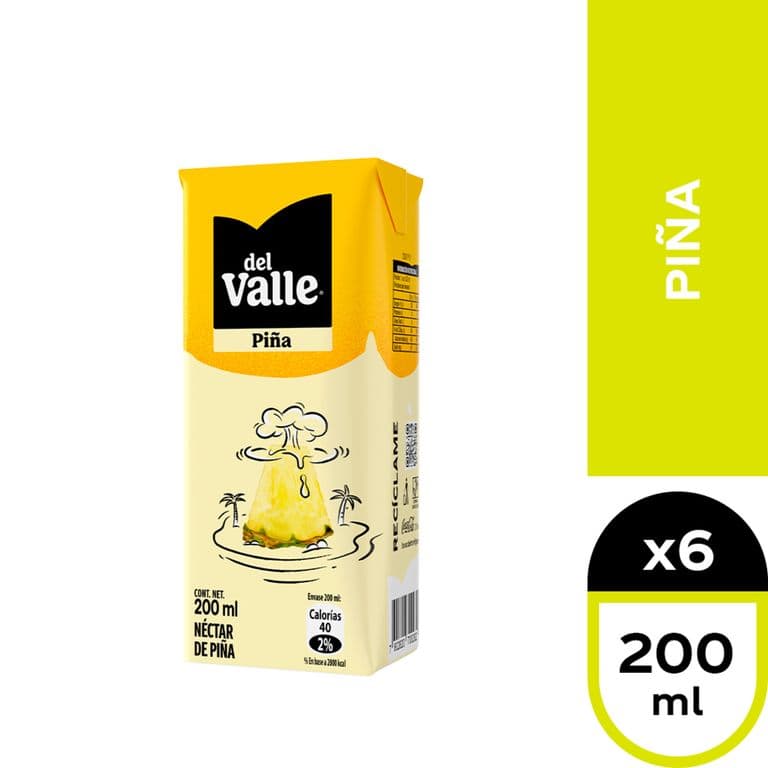 Nectar Andina del Valle pina 6 X 200 ML
