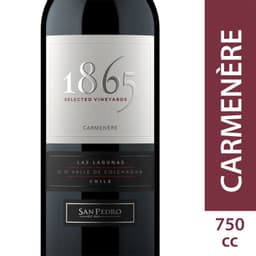 Vino Tinto Carmenere Single Vineyard 750 ML