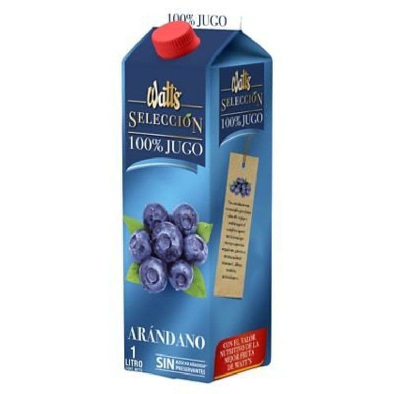 100% Jugo Arandano Seleccion 1 LT