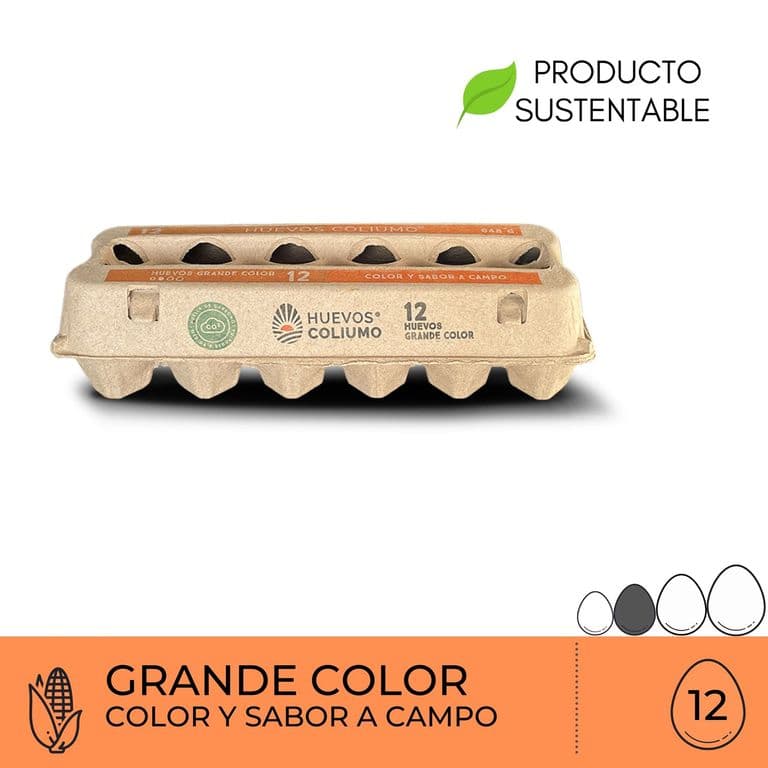 Huevos Color Primera Coliumo 12 un