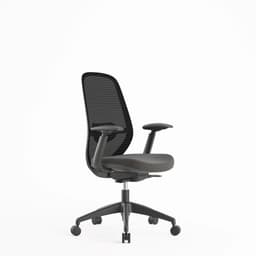 Silla Escritorio Home Office Budi - Soporte Lumbar - Ergonomica