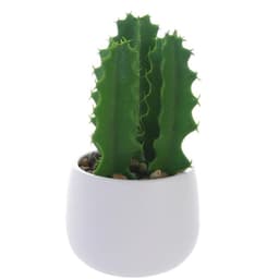 Planta Decor Cactus Suculento 25 Cms Maceta Blanca Blanco