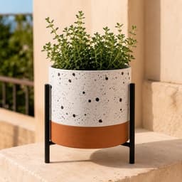 Maceta Decorativa Belice Mediana Soporte