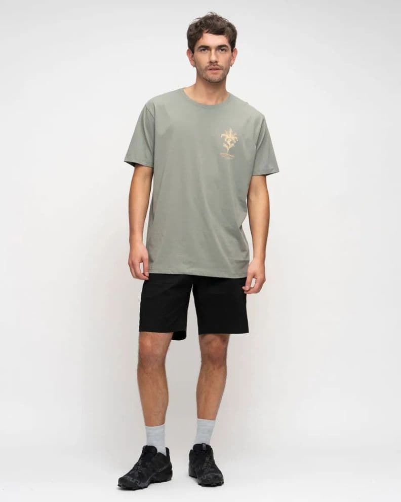 Polera Algodon M-12 Hombre Gnomo Verde Claro XL